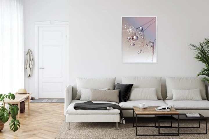 Plakat Rosa Na Różowym Dmuchawcu