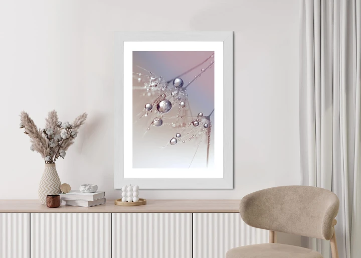 Plakat Rosa Na Różowym Dmuchawcu