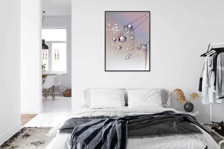 Plakat Rosa Na Różowym Dmuchawcu