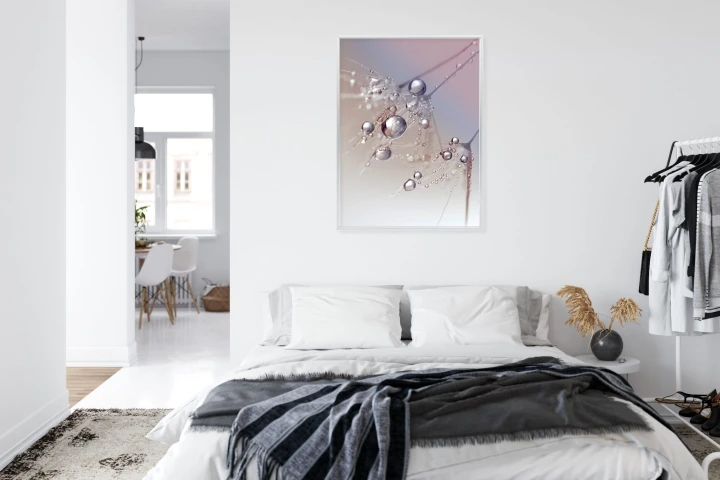 Plakat Rosa Na Różowym Dmuchawcu