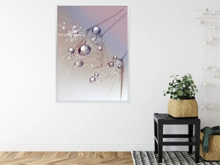 Plakat Rosa Na Różowym Dmuchawcu