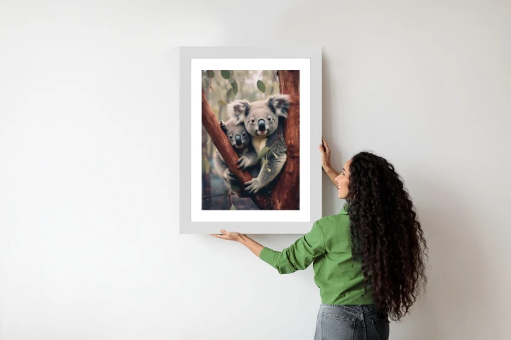 Plakat Dwa Misie Koala Na Gałęzi