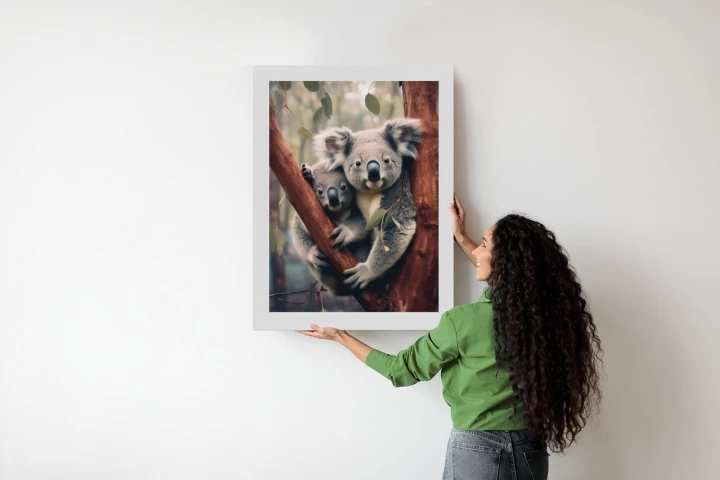 Plakat Dwa Misie Koala Na Gałęzi