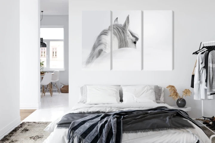 Obraz Wieloczęściowy Koń Andaluzyjski We Mgle