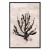Obraz - Morska roślina (1-częściowy) pionowy