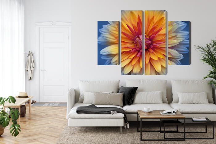 Obraz Wieloczęściowy Kwiat Chryzantemy Z Bliska 3D