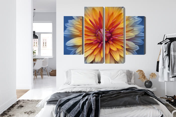 Obraz Wieloczęściowy Kwiat Chryzantemy Z Bliska 3D