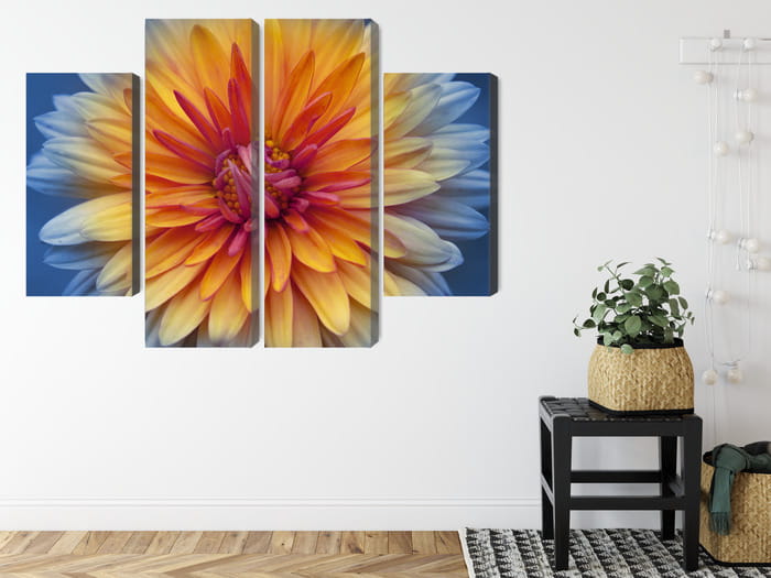 Obraz Wieloczęściowy Kwiat Chryzantemy Z Bliska 3D