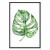 Obraz - Akwarelowa monstera (1-częściowy) pionowy