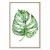 Obraz - Akwarelowa monstera (1-częściowy) pionowy