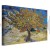 Obraz - Vincent van Gogh – Drzewo morwowe