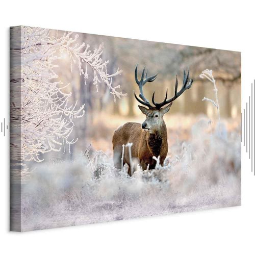 Obraz - Jeleń na mrozie