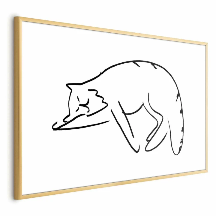 Plakat - Kocie sny