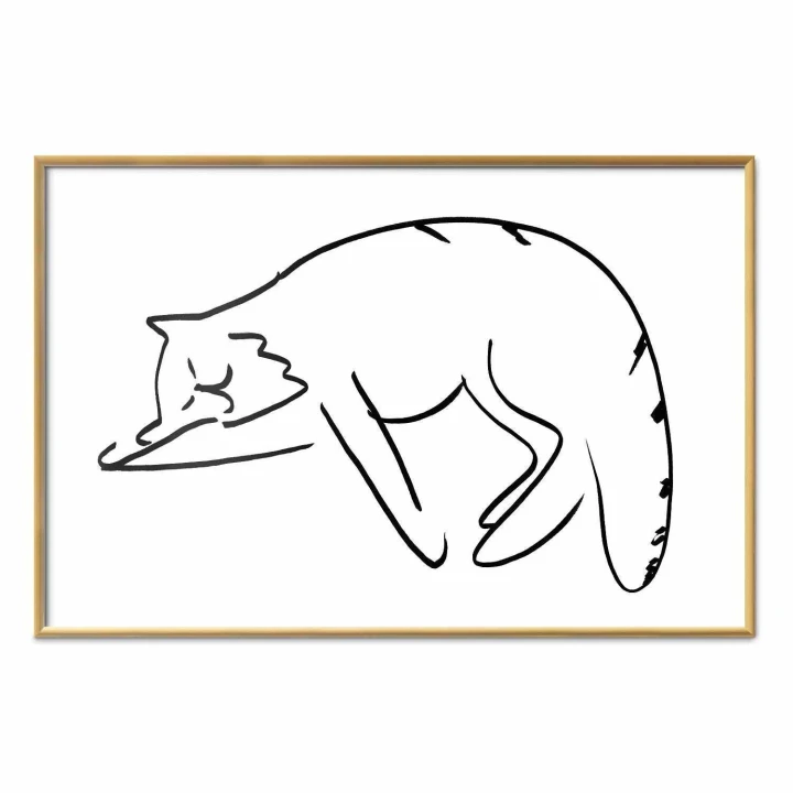 Plakat - Kocie sny