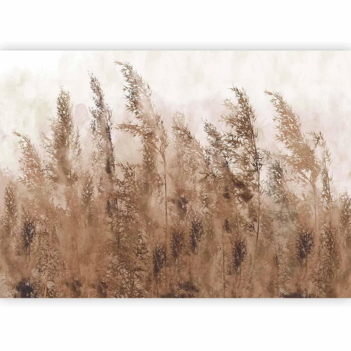 Fototapeta - Wysokie trawy - brązowy