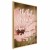 Plakat - The best dreams happen when you are awake