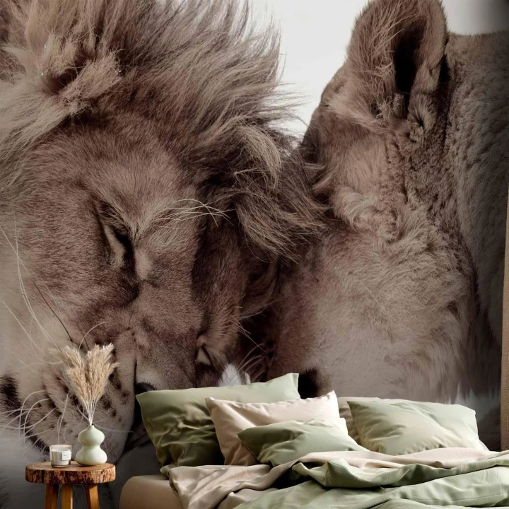 Fototapeta - Lew i lwica