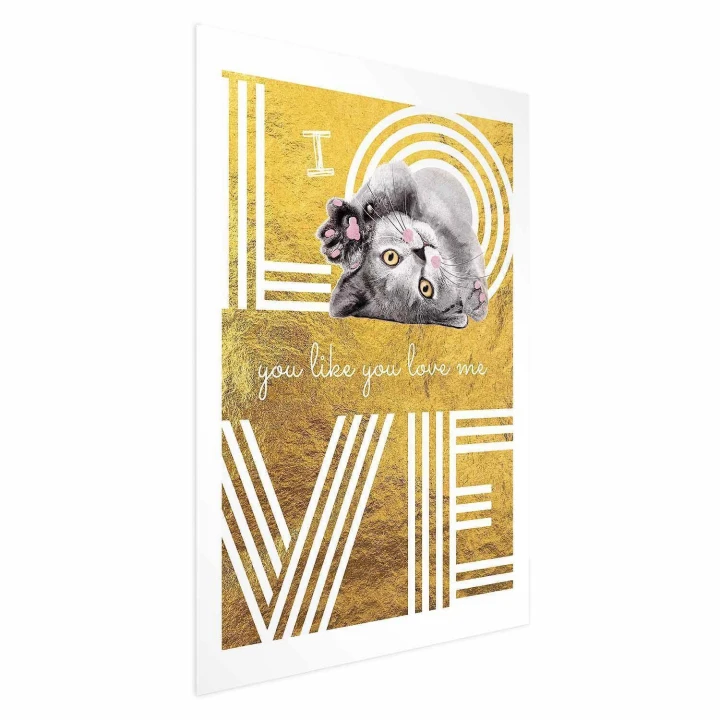 Plakat - I Love You like You Love Me