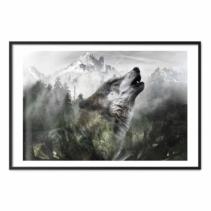 Plakat - Wyjący wilk