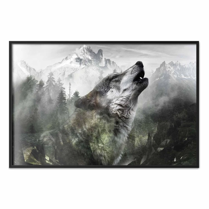Plakat - Wyjący wilk