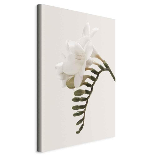 Obraz - Wiosenny pióropusz (1-częściowy) pionowy