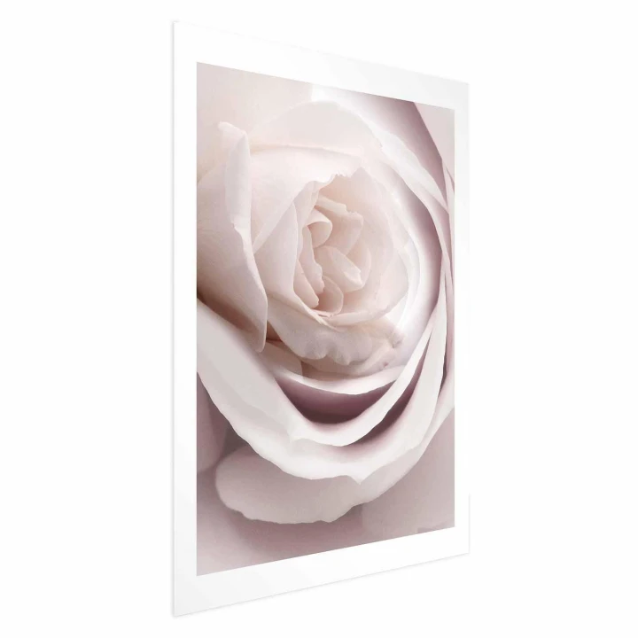 Plakat - Porcelanowa róża