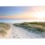Fototapeta - Poranny spacer po plaży