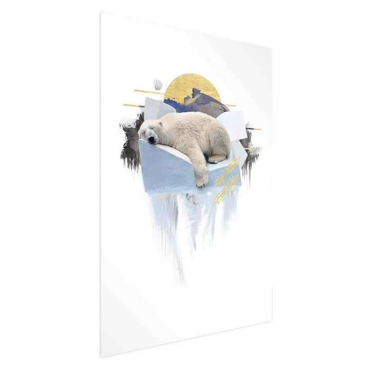 Plakat - Niedźwiedź polarny