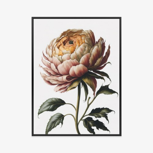 Plakat Piękna Piwonia Na Jasnym Tle