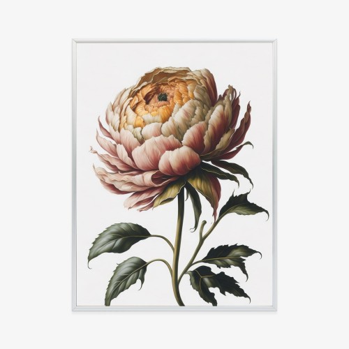 Plakat Piękna Piwonia Na Jasnym Tle