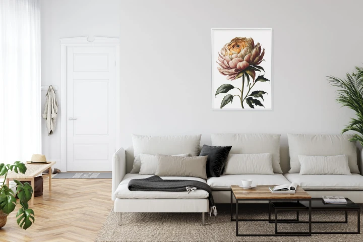 Plakat Piękna Piwonia Na Jasnym Tle