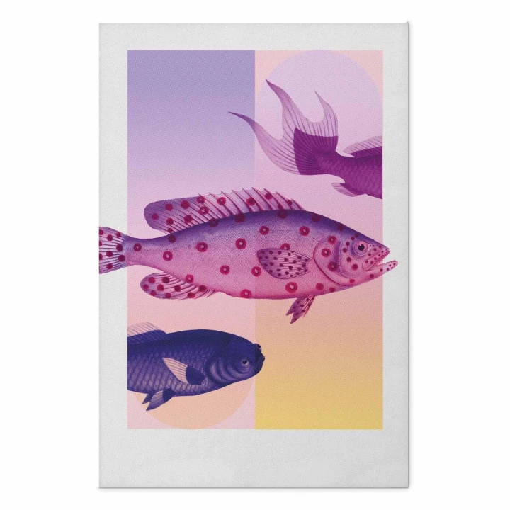 Plakat - Fantazyjne Ryby - artystyczna ilustracja ryb na kolorowym tle