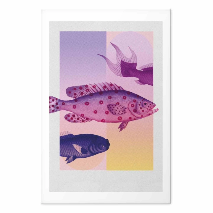 Plakat - Fantazyjne Ryby - artystyczna ilustracja ryb na kolorowym tle