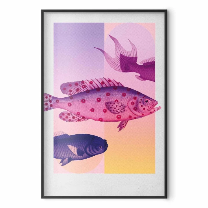Plakat - Fantazyjne Ryby - artystyczna ilustracja ryb na kolorowym tle