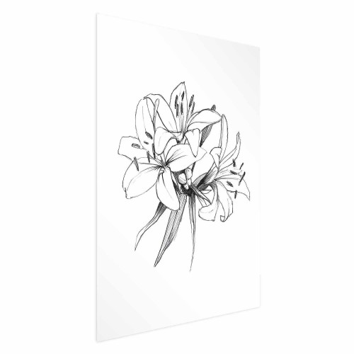 Plakat - Rysowane kwiaty