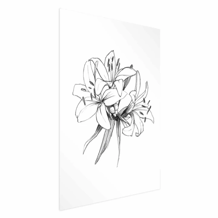Plakat - Rysowane kwiaty