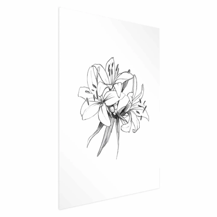 Plakat - Rysowane kwiaty