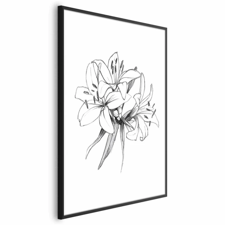 Plakat - Rysowane kwiaty