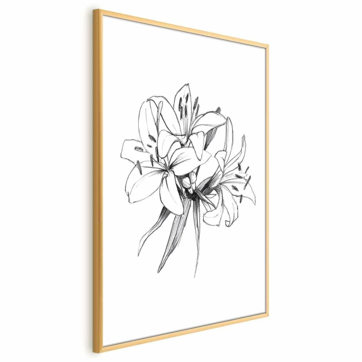 Plakat - Rysowane kwiaty