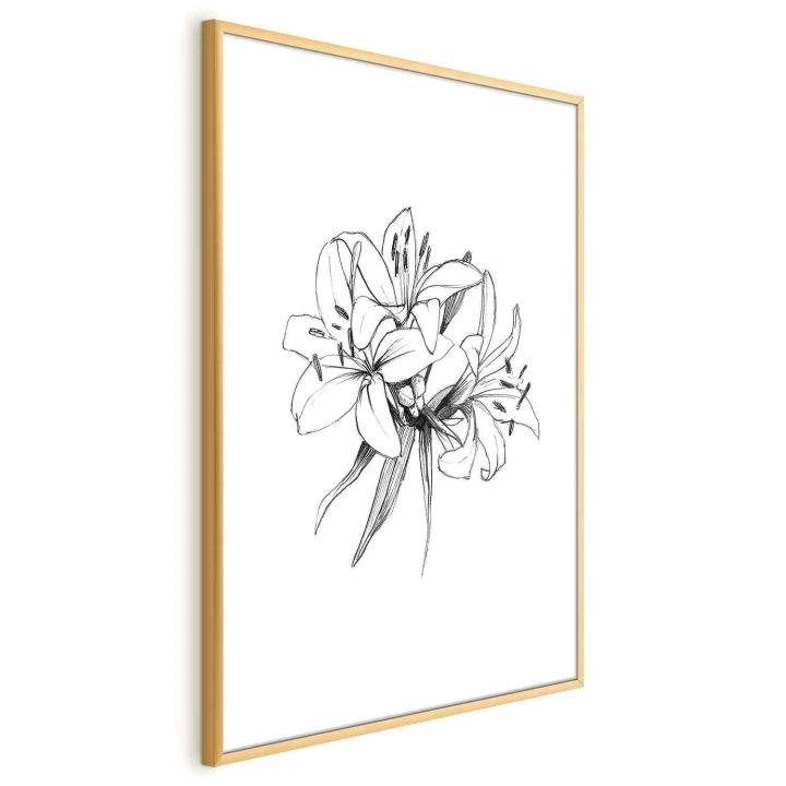 Plakat - Rysowane kwiaty