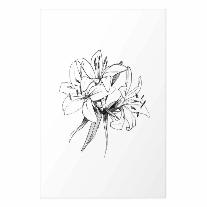 Plakat - Rysowane kwiaty