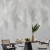 Fototapeta - Blade palmy
