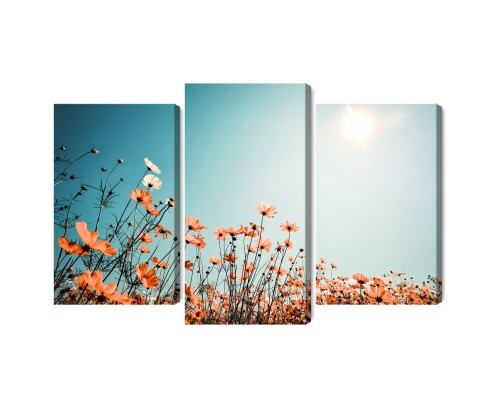 Obraz Wieloczęściowy Kwiaty Polne W Słońcu