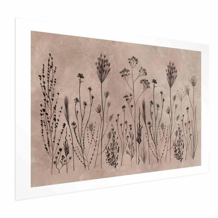 Plakat - Polne kwiaty - czarne rośliny na tle w technice lime wash