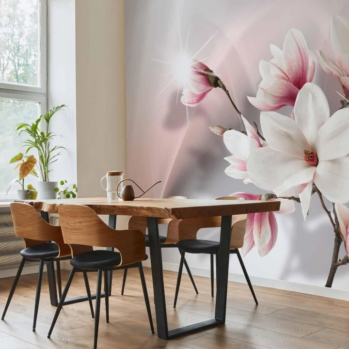 Fototapeta - Białe magnolie