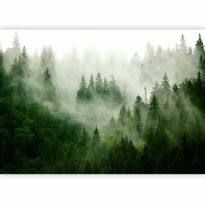 Fototapeta - Górski las (zielony)