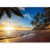 Fototapeta - Tropikalna plaża