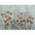 Fototapeta - Malowana lunaria