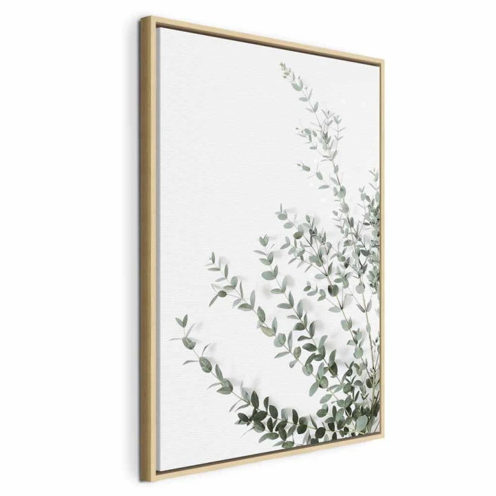 Obraz - Eukaliptus Parvifolia (1-częściowy) pionowy