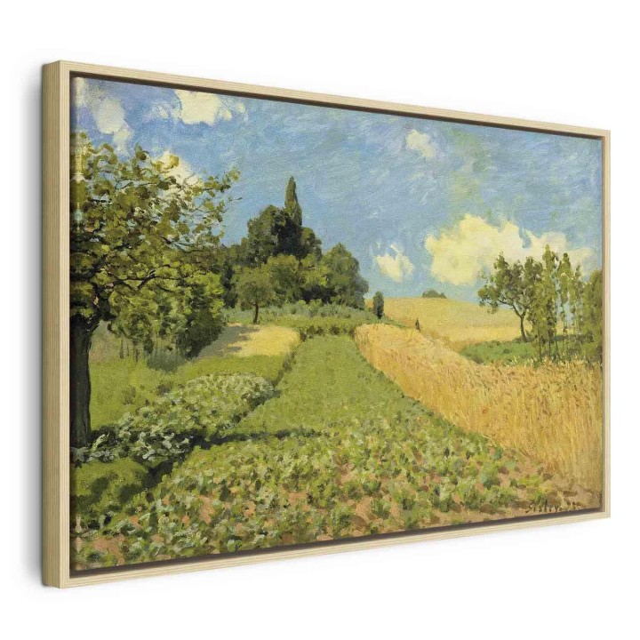 Obraz - Alfred Sisley – Pole pszenicy koło Argenteuil